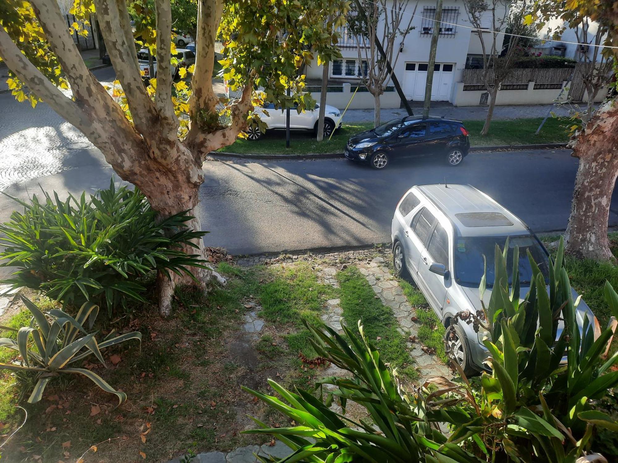 Aparts Del Jardin Tigre Exteriör bild